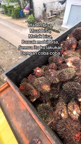 Kayak ular banyak bisanya😆#fyppppppppppppppppppppppp #petaniindonesia🇮🇩🇮🇩🇮🇩🌿🌿 #sawitontiktok #anakmuda #bangkabelitung 