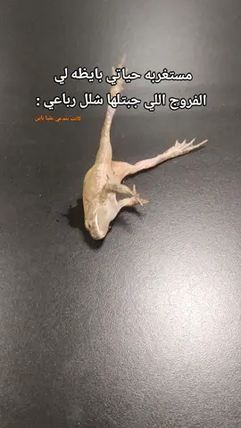 كل دا عشان الاتندنس #pharmacy #مالي_خلق_احط_هاشتاقات #foryoupage 