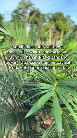 tetap semangat dan bersyukur apapun yang kita dapat di hari ini, bisa jadi besok dapat rejeki yang tak terduga #petanisawit #sawitontiktok #sawitindonesia