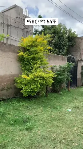 😁.. repost family 🙏🏾 #ethiopian_tik_tok #fyp #dominatenuri 