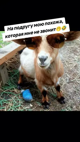 #хочуврек🙏 