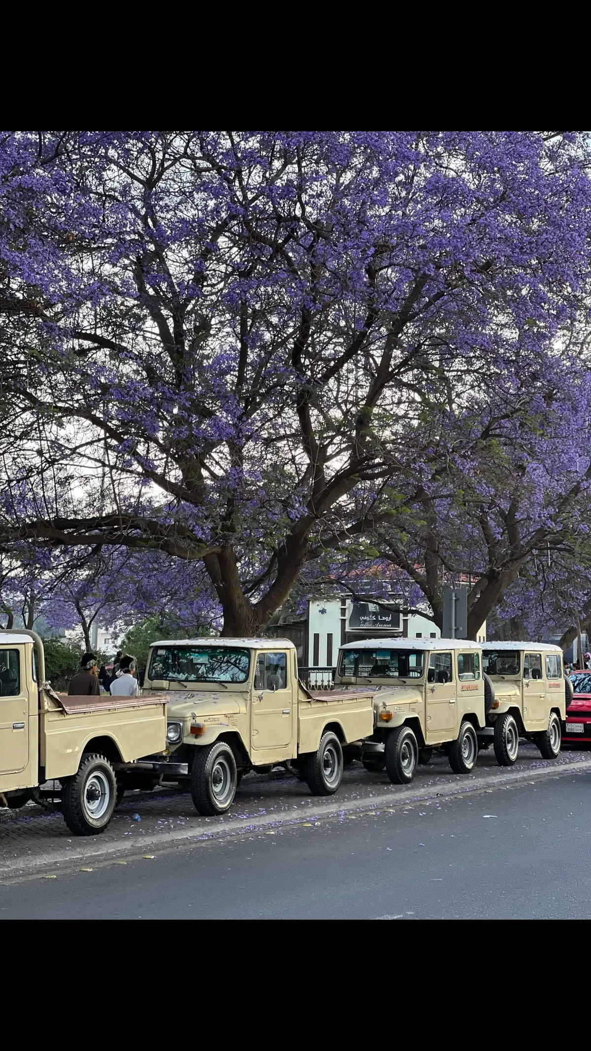 #أبها #الجنوب #اكسبلور #سيارات  #تويوتا #الشعب_الصيني_ماله_حل😂😂  #شاص #ربع #fj40 #fyp #explore #TOYOTA 