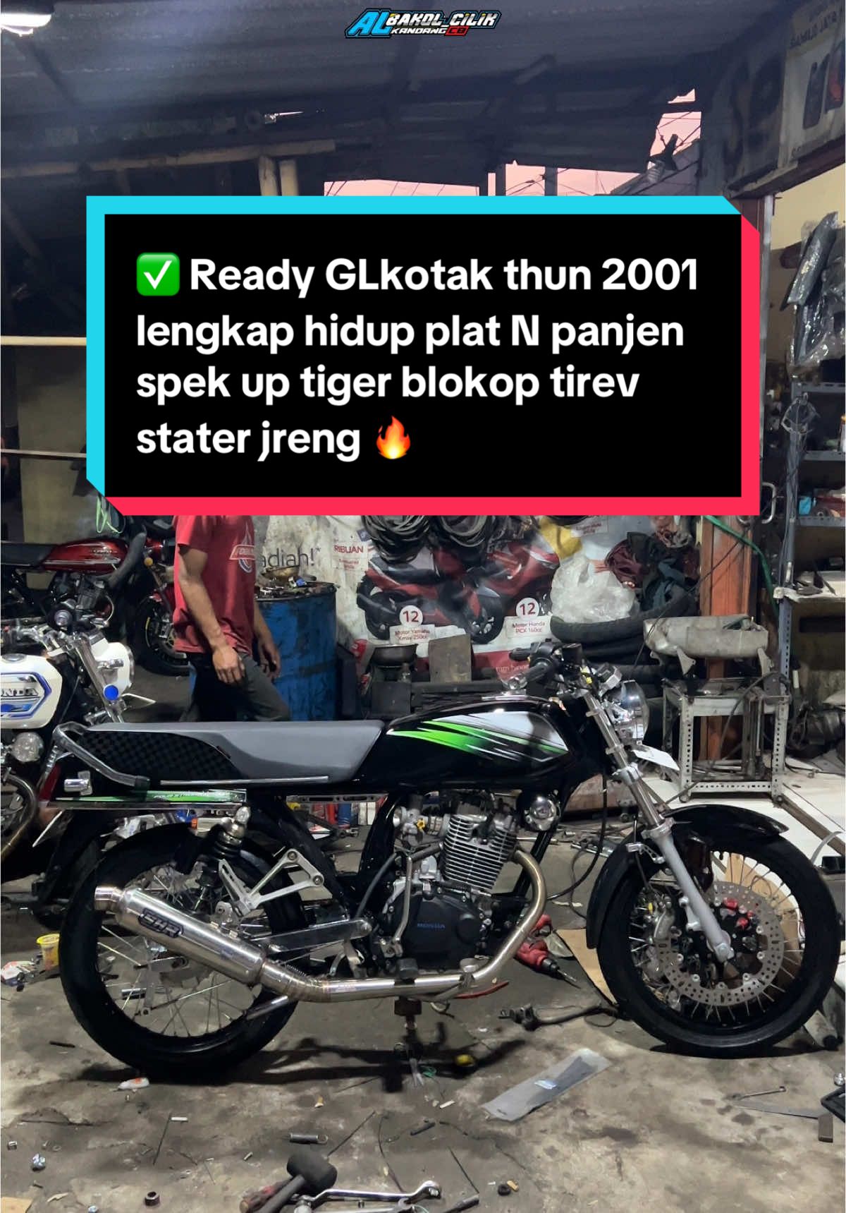 Minat bisa langsung pantau dan kirim ya samku wa 087855329922 #ALbakolcilik #kandangcb #cepekcantik #gampingan #glkotak #gl #glkotakgank🤙 #glneotek#fyp 