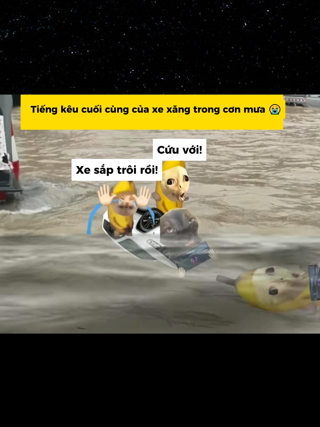 #funny #memes #haihuoc #catmeme #cat