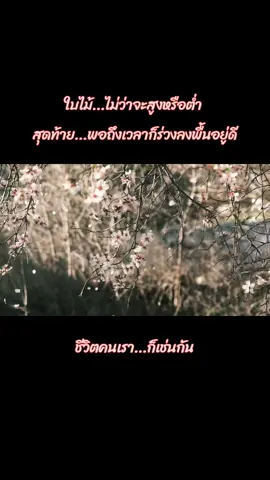 #สายลมเจ็บปวด  #เสพติดเพลงเศร้า 