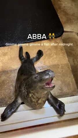 Weekly pupdate! Who’s your favourite? @Benson @susanboyleofficial @ABBA @Iggy Pop @Arctic Monkeys 