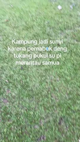 #kampunghalaman#munapride🔥#sulawesitenggara #fyppppppppppppppppppppppp 
