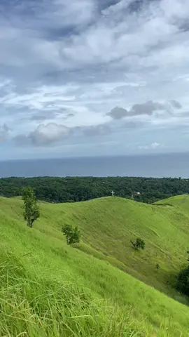 unpaid therapy 🍃#fyp #nature 