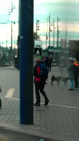 All aboard. The next stop is ADE -  where music and technology connect!   We’re teaming up with Loveland to celebrate 30 years of Loveland at ADE. On Tram 30 we’re taking the party off the dance floor and onto the tracks on October 23rd! 🚋   It’s invite-only… but you can still hop on! 🎟️ Head to @lovelandnl on Instagram to join the giveaway and win a spot for you and a friend. @Amsterdam Dance Event @Loveland  #ade #amsterdamdanceevent #loveland 