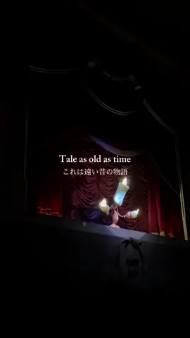 Disney vibes ☆彡˚✧ 　 #beautyandthebeast #disney #美女と野獣 #ディズニー #ディズニーランド 