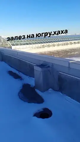 #нв#югра#86