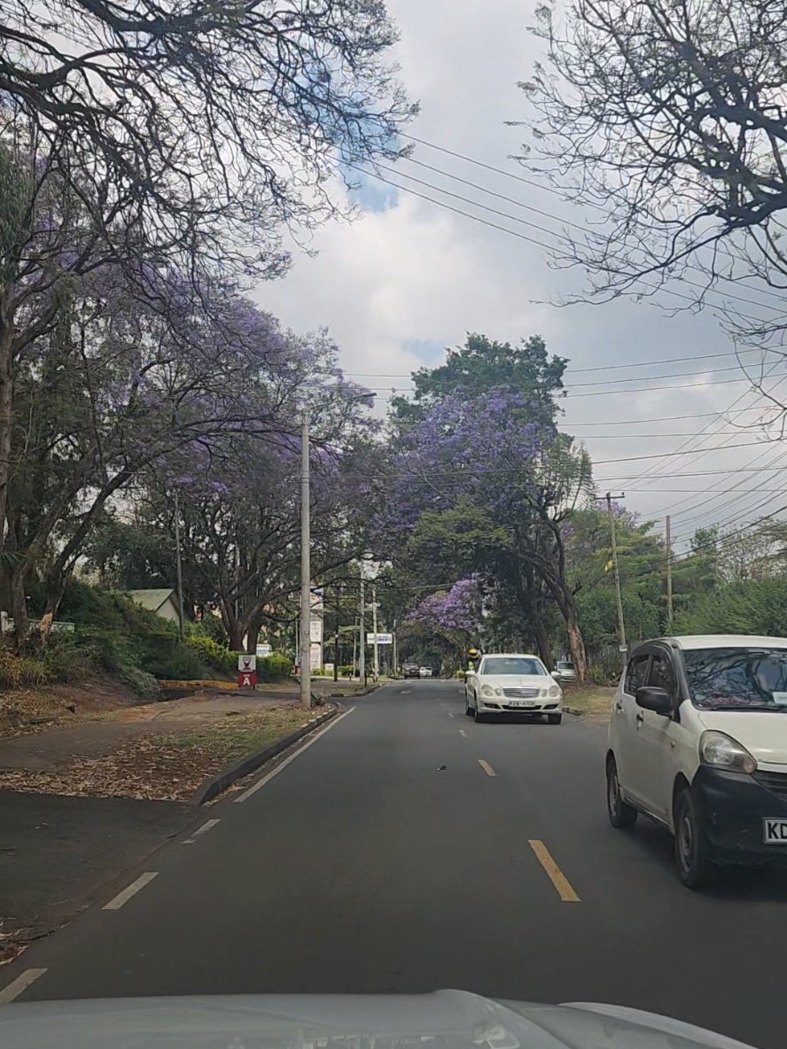 Nairobi is purple 😍🤩