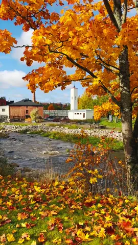 📍Tikkurila, Vantaa Vantaa is glowing in autumn colors — ruska season is here! 🍂  #fyp #autumn #finland #fall #visitfinland 