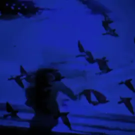 habits (stay high) - tove lo #habits #tovelo #lyrics #fyp #foryou 