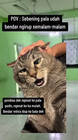 nyengala enda angkat sehari hari nya ngenat ke abi demalam #fypppppppppppppppppppppp #Meme #like?share?comment?follow😘❤️🥰 #ibansarawaktiktok 