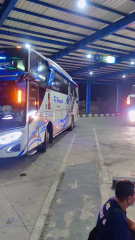 Tiga Bus PO. Haryanto dengan ciri khasnya, antar penumpang selamat sampai tujuan. #busmania #busmaniacommunity #haryanto_mania #busmalam #busmaniaindonesia 