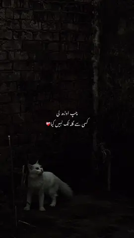 🫠🖤#fyppppppppppppppppppppppp #viewsproblem #unfrezzmyaccount #foryoupage #uil @مجنون عاشق 🖤🥀 