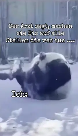 #lustig #lustigevideos #humortiktok #witzig #witzigevideos 