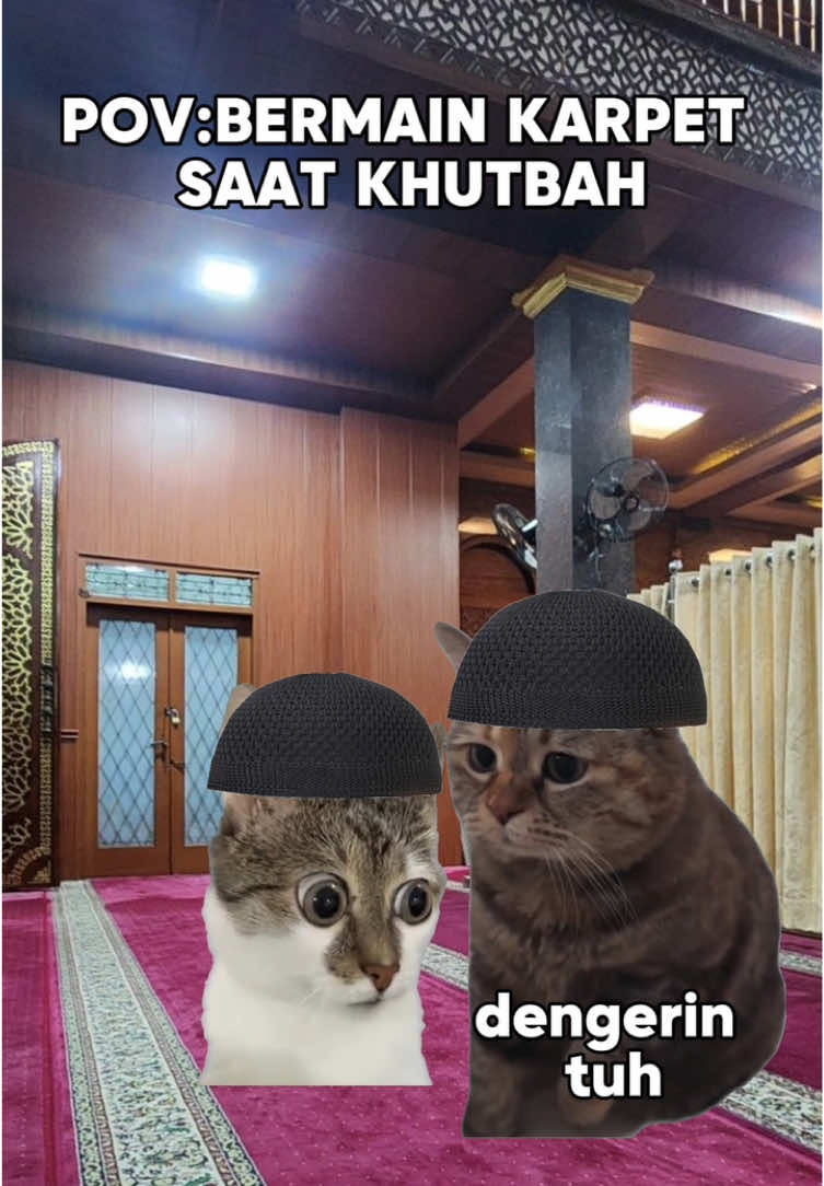 Langsung di mention dong 😭 #meme #memekucing #fyp #kucinglucu #kucingtiktok 