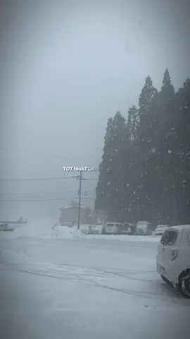 Còn gì vui hơn khi được trượt cùng đồng đội snowboard nhỉ 🤤🤤 ( 1 năm ước powder được 1 lần cũng được) 👍🏻 #snowboard #powder 