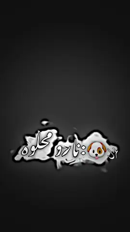 احلى بنيه💋#نارو #جيش_نارو @Naro | نارو 🐆 @Naro | نارو 👑💙 