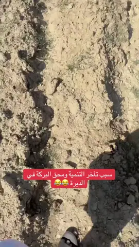 #الباحة #المندق #بني_مالك_بجيله #الشعب_الصيني_ماله_حل😂😂 