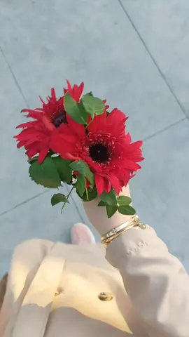 ذاتُ روحٍ نرجسية وأفكارٍ وردية نِصفها فراشة ونِصفها الآخر زهرةُ عبادِ الشمس . . .🤍💭 #Rama🌸🤗 