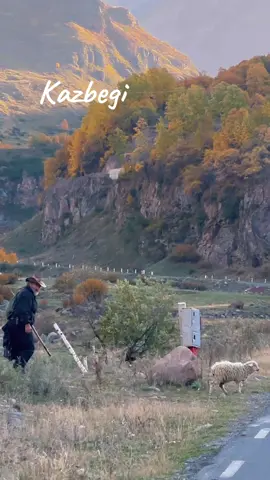 სიმღერის სრული ვერსია იხილეთ ჩემს იუთუბ არხზე: girllfromgeorgia 💟 #kazbegi #მეცხვარე #georgia #geo 
