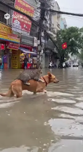 mãi là anh em 💗 #viral #fyp 