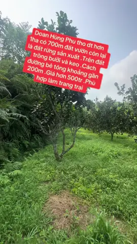 #Doan Hùng phu tho dt nhỉnh 1ha giá hơn 500tr phù hợp với tiêu trí trang trại 