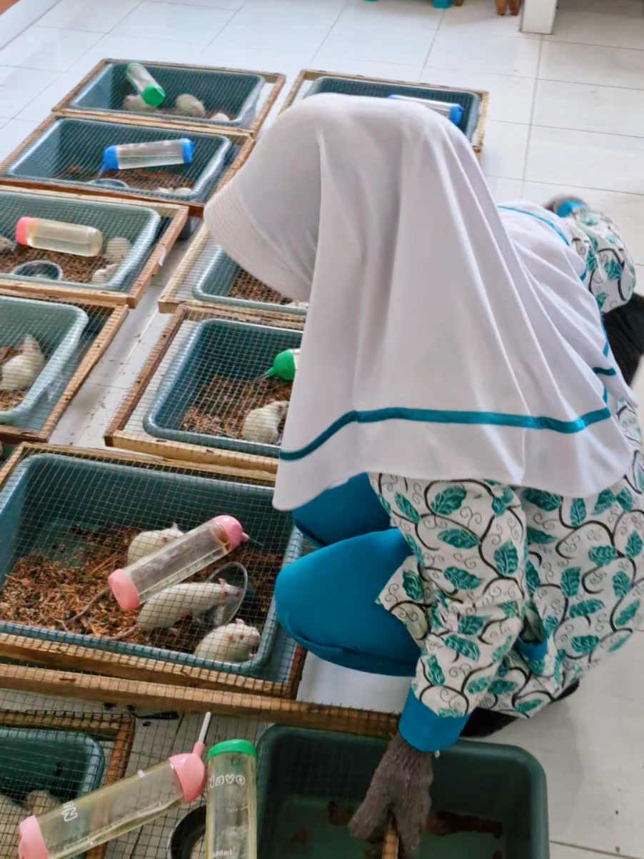 tak taoh gik apoh krepoh #fyp #farmasi #uds #pharmacy #for @Universitas dr. Soebandi @GOBBUR (PETERNAK MOUDA) 