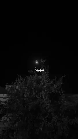 غريبةةةة. ؟ #قوالب_تيك_توك_جديده #قالب_تيك_توك_جديد #قوالب_تيك_توك #قالب_تيك_توك 