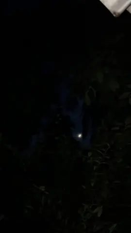 kotha gulooo😅 #foryou  #views  #100k  #viral  #foryoupage 