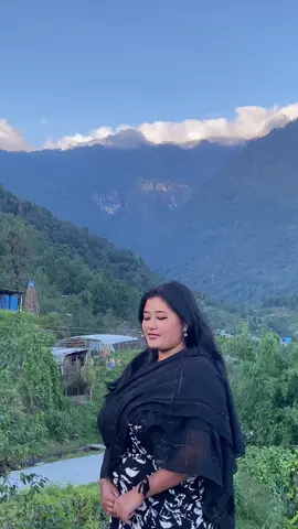 Just love this song #tiktok #foryoupage #sabinabunu0 #nepalisong #keepsupporting 