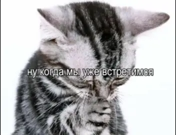 :< #щп #скучаю #рекомендации @﹢ нона 