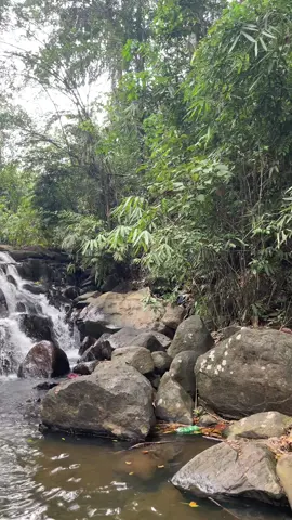 Udakanugala falls🫶 #travel #video #fyp #srilanka 