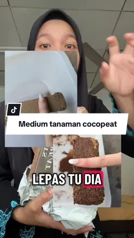 #fypシ゚ #menanamdirumah #cocopeatblock #tanamanhias 