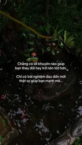 …#tamtrang #story 