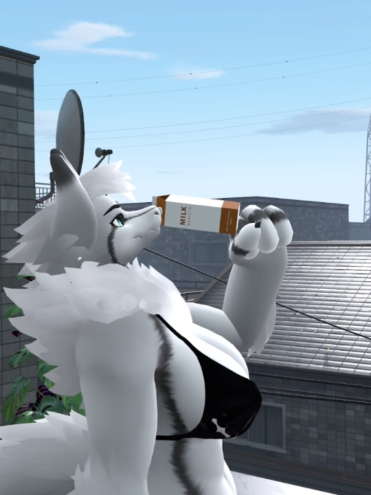 milk ? #furry #furryfandom #furrycommunity #furrymeme #vrchatcommunityh