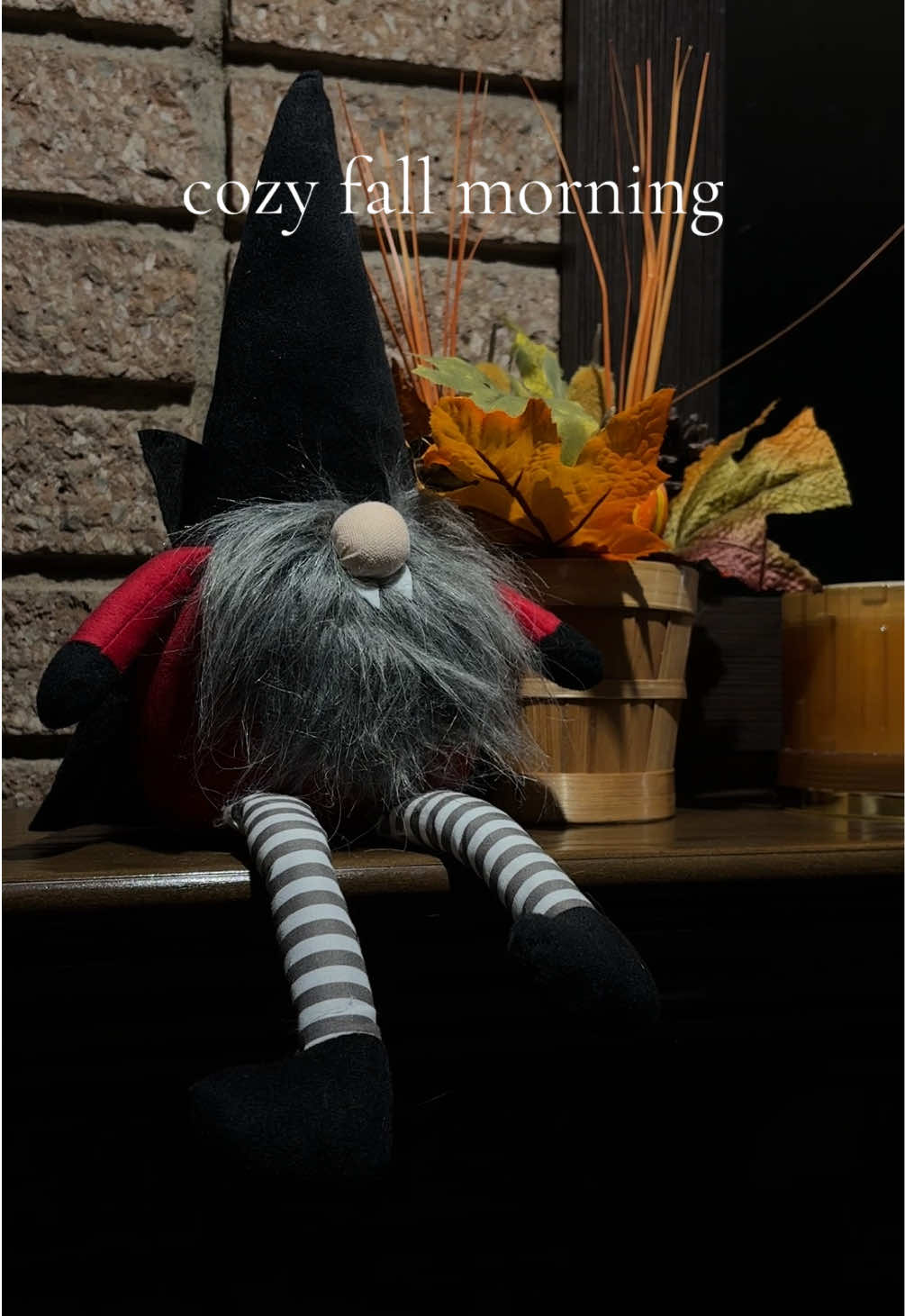 this cardigan is giving cozy girl era ☕️🧸 #fallaesthetic #twilight 