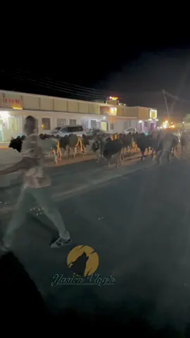 Soo Mention Garee Qofka Aad Ka Garaneyso Sacad Muuse 🐄🔥😹#Yasien_Vlogs🌴 #foryoupage #hargeisa_somaliland #berbera #fyp 
