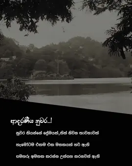 😊🤍! @Piyu Nisansala 🇱🇰 🇦🇪 @LYRICS BY OSHI 🇦🇪 🇱🇰 🎶🎼 ආදරණීය නුවර 🤍