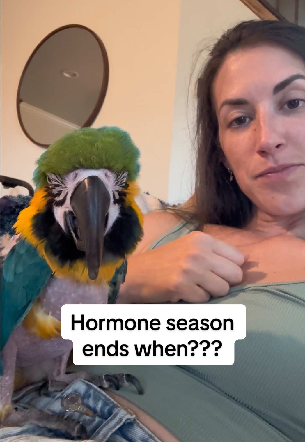 Where are all my bird people? Last week was dandy, and this week we’re in the throes of hormone season 🥴. Sometimes that means a bit of cage time to cool down. Luckily, this too shall pass 💙💛💚 #rescuebird #parrotsoftiktok #petcare #exoticpets #macaw 