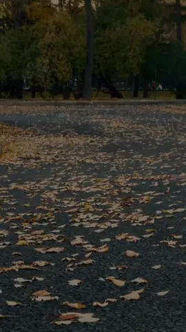 A melhor coisa que fiz na vida  #motivaçãodiária #motivacao24h 