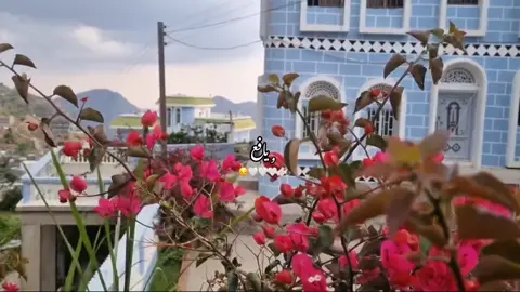 لاشي يضاهي جمال يافع❣️✨️#يافع #fyp 