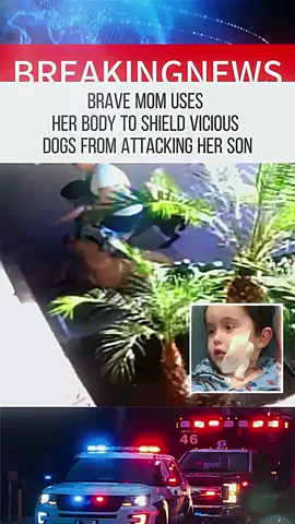 Brave Mom Uses Her Body To Shield Vicious Dogs From Attacking Her Son.#news #breakingnews #tiktok #USA #fyppppppppppppppppppppppp #foryou #fyp