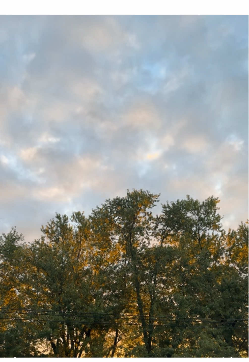 Anyone else love the sound of coffee pouring into your mug?  #coffee #morning #morningcoffee #goodmorning #coffeepour 