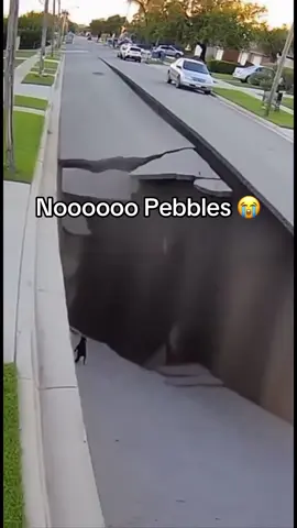 Not again Pebbles 😭 #pug #pebblesthepug #earthquake #restinpeace #funny 
