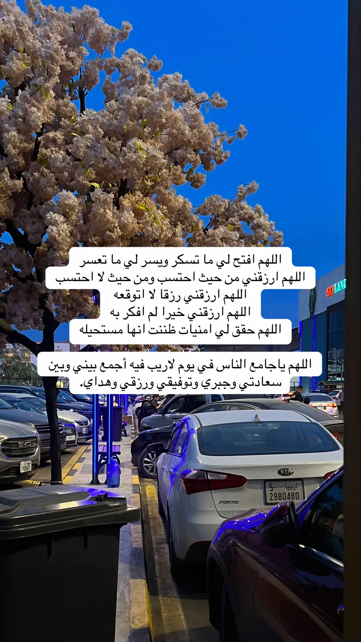 ادعولي🥹 #قرآن #quran #اكسبلور #صدقة_جارية_لي_ولأهلي 