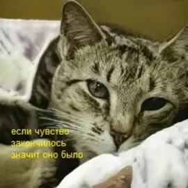 #паркабстракционов #уродство  #fyp #чувства 